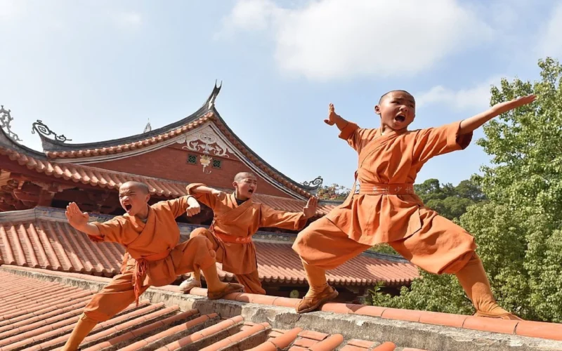 أصول تاريخية.. الكونغ فو فن القتال من معابد بوذية قديمة